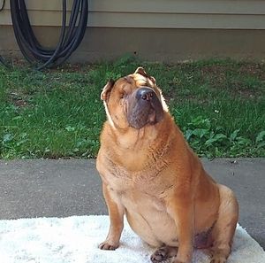 Meet your Posher, Phillip